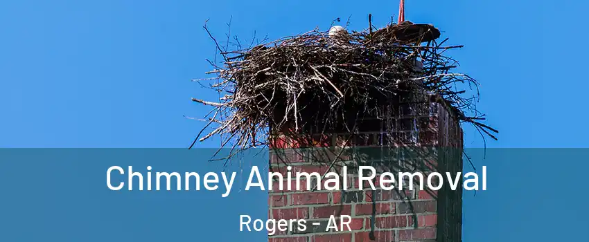 Chimney Animal Removal Rogers - AR