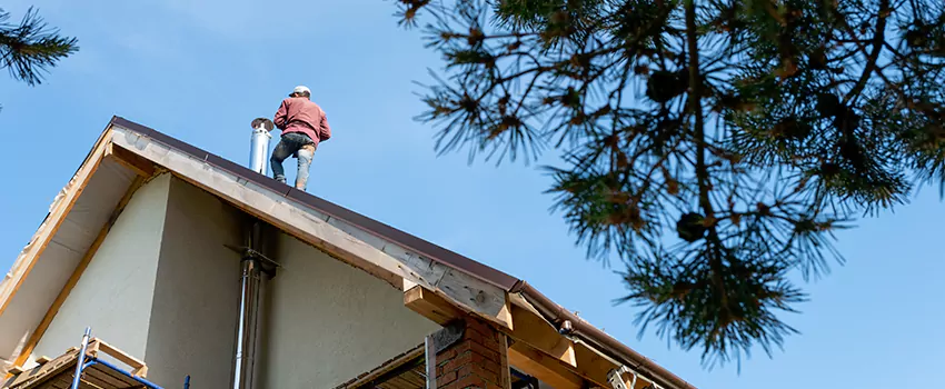Birds Removal Contractors from Chimney in Rogers, AR